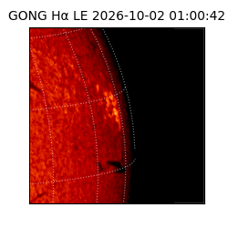gong - 2026-10-02T01:00:42