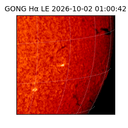 gong - 2026-10-02T01:00:42