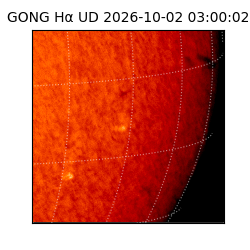 gong - 2026-10-02T03:00:02