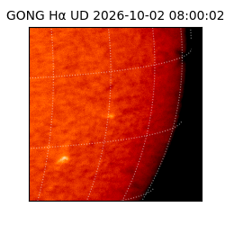 gong - 2026-10-02T08:00:02