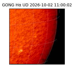 gong - 2026-10-02T11:00:02
