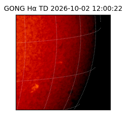 gong - 2026-10-02T12:00:22