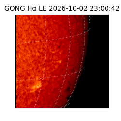gong - 2026-10-02T23:00:42