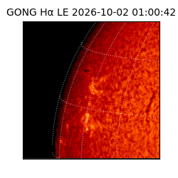 gong - 2026-10-02T01:00:42