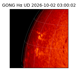 gong - 2026-10-02T03:00:02