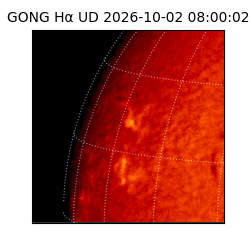 gong - 2026-10-02T08:00:02