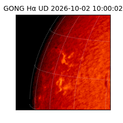 gong - 2026-10-02T10:00:02