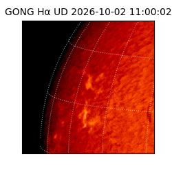 gong - 2026-10-02T11:00:02