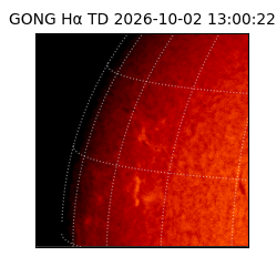 gong - 2026-10-02T13:00:22