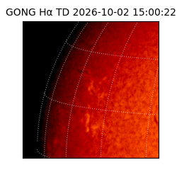 gong - 2026-10-02T15:00:22