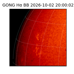gong - 2026-10-02T20:00:02