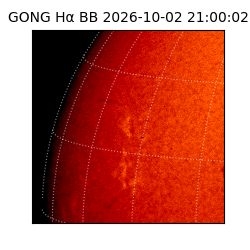 gong - 2026-10-02T21:00:02