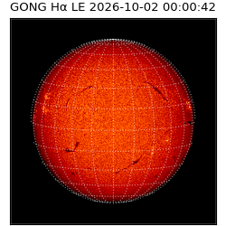 gong - 2026-10-02T00:00:42