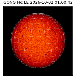 gong - 2026-10-02T01:00:42