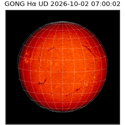 gong - 2026-10-02T07:00:02