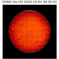 gong - 2026-10-02T08:00:02