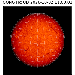 gong - 2026-10-02T11:00:02