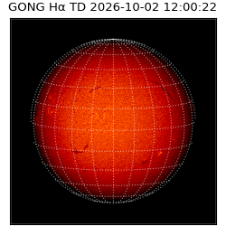 gong - 2026-10-02T12:00:22