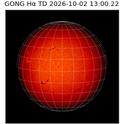 gong - 2026-10-02T13:00:22