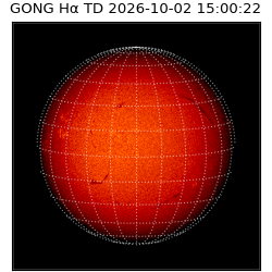 gong - 2026-10-02T15:00:22