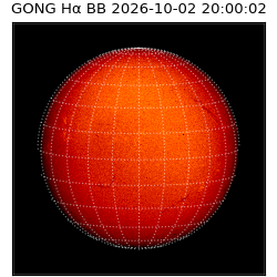 gong - 2026-10-02T20:00:02
