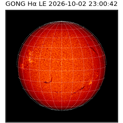 gong - 2026-10-02T23:00:42