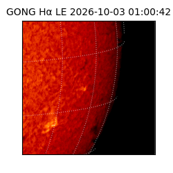 gong - 2026-10-03T01:00:42