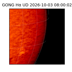 gong - 2026-10-03T08:00:02