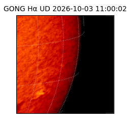 gong - 2026-10-03T11:00:02