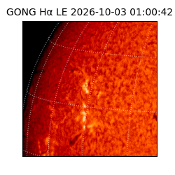 gong - 2026-10-03T01:00:42