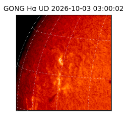 gong - 2026-10-03T03:00:02