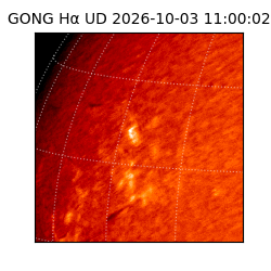 gong - 2026-10-03T11:00:02