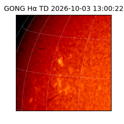 gong - 2026-10-03T13:00:22