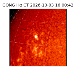 gong - 2026-10-03T16:00:42