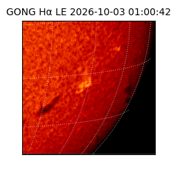 gong - 2026-10-03T01:00:42