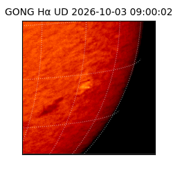 gong - 2026-10-03T09:00:02