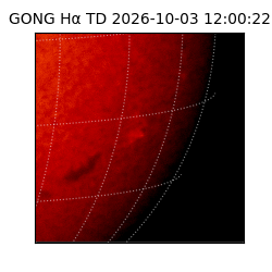 gong - 2026-10-03T12:00:22
