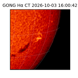 gong - 2026-10-03T16:00:42
