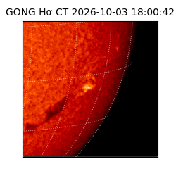 gong - 2026-10-03T18:00:42