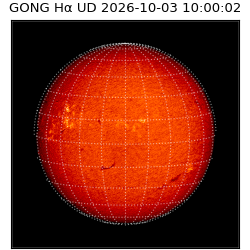 gong - 2026-10-03T10:00:02