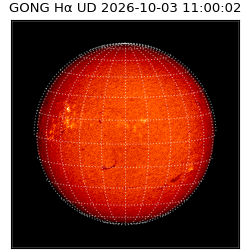 gong - 2026-10-03T11:00:02