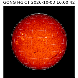 gong - 2026-10-03T16:00:42