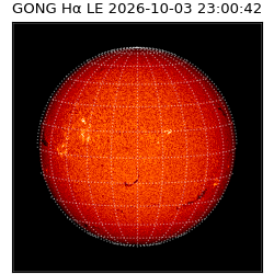gong - 2026-10-03T23:00:42