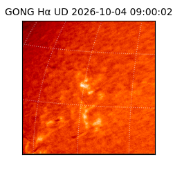gong - 2026-10-04T09:00:02