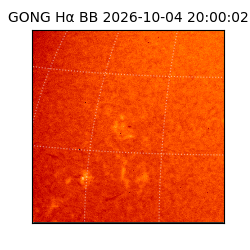 gong - 2026-10-04T20:00:02