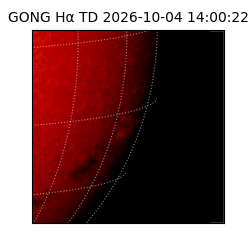 gong - 2026-10-04T14:00:22