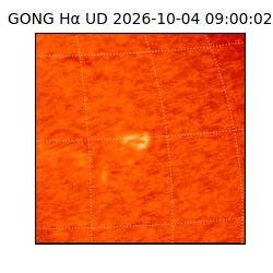 gong - 2026-10-04T09:00:02