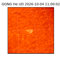 gong - 2026-10-04T11:00:02