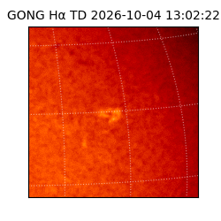 gong - 2026-10-04T13:02:22