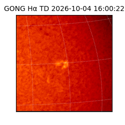 gong - 2026-10-04T16:00:22